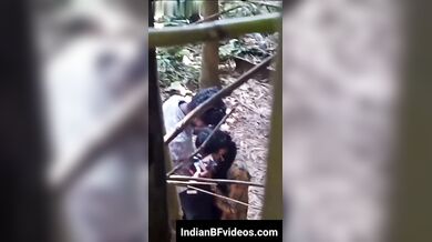 बांस के झाड़ियों मे छुप क्यूट जीएफ को लंड चूसता लड़का