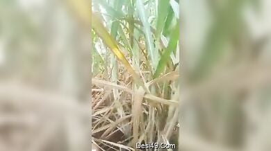 मराठी काकी की गन्ने के खेत में चुदाई
