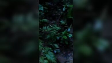 एक लड़के ने जंगल में लाकर चोदी २ लड़कियां