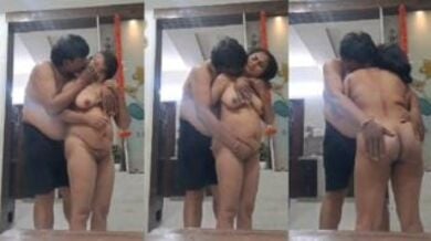 अधेड उम्र के चाचा चाची ने किया घर के अंदर रोमांस