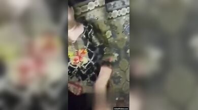 धोकेबाज पाकिस्तानी बडे बूब्स वाली भाभी चुदी अपने आशिक से