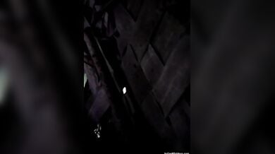 पति पत्नी की चुदाई पडोसी ने छुपकर वीडियो बनाई