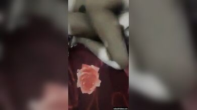 बीवी के दोनों चूतड़ों को पकड़कर अपना लंड चोदने लगाया