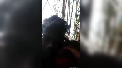 देसी कॉलेज सेक्सी लवर जंगल मे मंगल कर रहे है