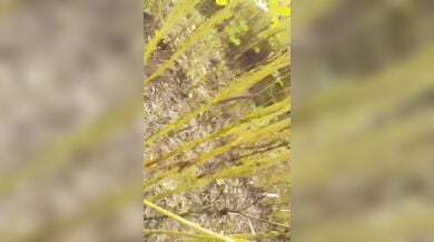 खेत में चुदाई के लिए आंटी ने लड़के के लोड़े पर पहनाया कंडोम