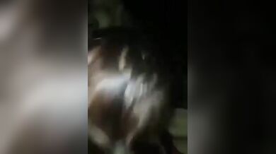 मच्योर मुस्लिम लेडी की घोड़ी बना के चुदाई करने की बीपी वीडियो