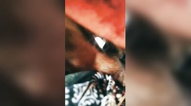 जवान राजस्थानी भाभी की बुर चुदाई खेतों में