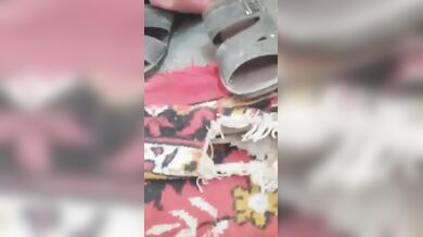 देसी अफ्घानी आंटी ने लंड चूस के बुर में लिया