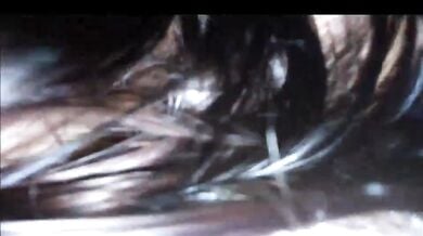 आधार कार्डवाली मेडम को चोदा और लंड के ज्यूस पिलाये