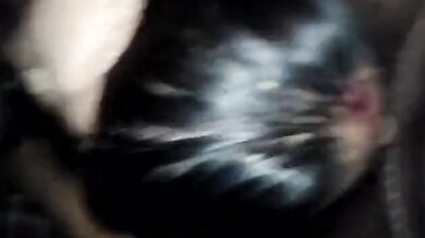 मांग में सिंदूर भरी बीवी का सर पकड़कर पति ने उससे अपना लंड चुसाया