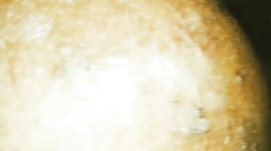 फुंसी से भरी गांडवाली साली को चोदा जीजा ने कुतिया बना के