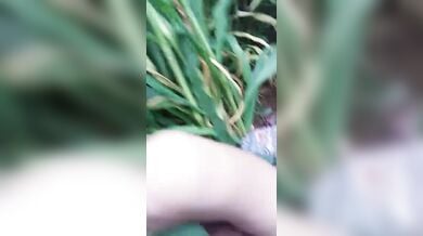 देहाती औरत को हरे भरे गन्ने के खेत में लिटाकर चोदा