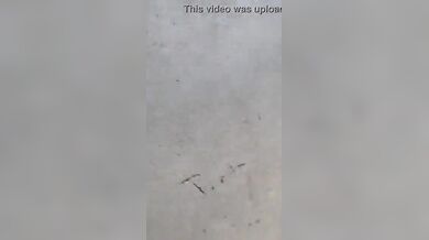 बिग बूब्स रंडी को चोदा जवाहर भैया ने चूची मसल मसल के