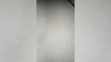 क्यूट लड़की ने ब्रा पैंटी निकालकर दिखाए अपने बड़े बूब्स औऱ चर्बीदार चूत