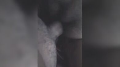 चीटिंग भाभी ने बड़ा लंड लिया अपनी ज्युसी चूत में