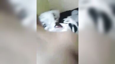 क्यूट इंडियन लड़की की चुदाई गोदी में बिठा के कर दी