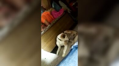 बेटे के सामने कुतिया बन गैरमर्द से चुदी देसी माँ