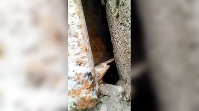 रंडीबाजी में लगी अपनी बहन आएशा को चुदते हुए भाई ने रंगेहाथों पकड़ा
