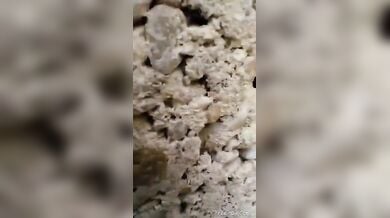 रंडीबाजी में लगी अपनी बहन आएशा को चुदते हुए भाई ने रंगेहाथों पकड़ा