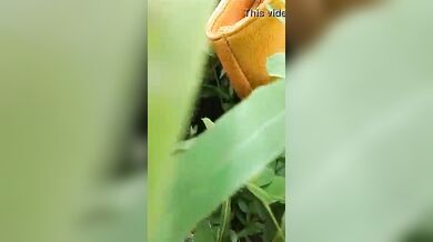 देहाती औरत झाड़ियों में चुदी