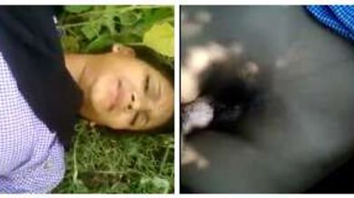 कॉलेजगर्ल की जंगल में चुदाई