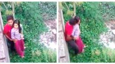 वॉल कंपाउंड की आड़ में चुदाई करता कपल