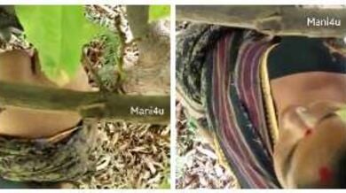 तेलुगु आंटी डॉगीस्टाइल चुदी