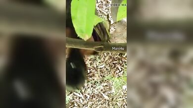 तेलुगु आंटी डॉगीस्टाइल चुदी