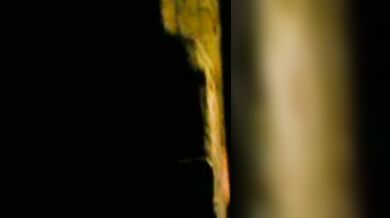 चुपके से फिल्माई लवर्स की चुदाई