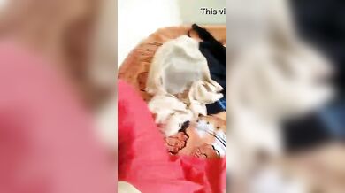 देवर भाभी का हॉट किसिंग