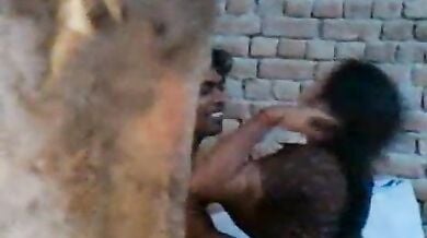 नोकर और कामवाली की चुदाई का एमएमएस