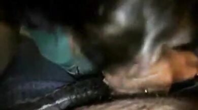 शौक़ीन आंटी की गांड चुदाई और ब्लोव्जोब