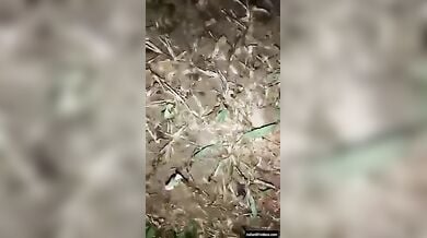 खेत में लड़की को चोद के उसकी ब्लू फिल्म बनाई