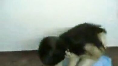 गुजरात की लड़की की नंगी वीडियो बनाई बॉयफ्रेंड ने