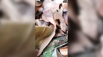 लडके ने क्यूट, नेपाली जीएफ की चुत की सील जंगल में तोडी