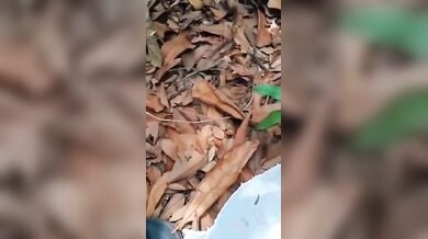 लडके ने क्यूट, नेपाली जीएफ की चुत की सील जंगल में तोडी