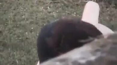 झील किनारे आउटडोर सेक्स करते टूरिस्ट पर स्पायिंग