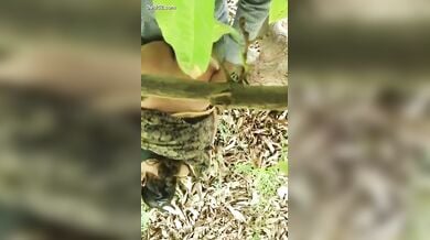 मस्त गांड भाभी की साड़ी उठाकर की जंगल में डॉगी स्टाइल चुदाई