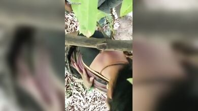 मस्त गांड भाभी की साड़ी उठाकर की जंगल में डॉगी स्टाइल चुदाई