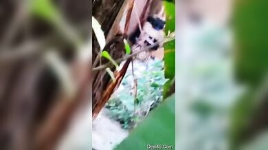 बिल्डिंग के पीछे झाड़ियों में सिक्रेट सेक्स कर रहे लवर्स पर स्पाइंग