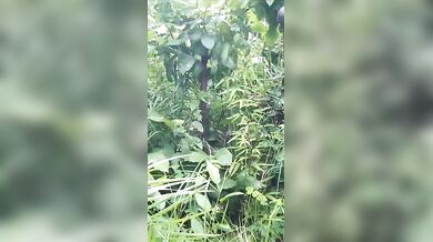 घने जंगल में नंगे बदन चुदाई करते लवर्स